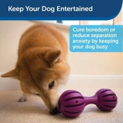 PetSafe Busy Buddy Waggle Dog Chew Toy 15 PetSafe Busy Buddy Waggle Dog Chew Toy -PetSafe Sales Shop 1182381 A4