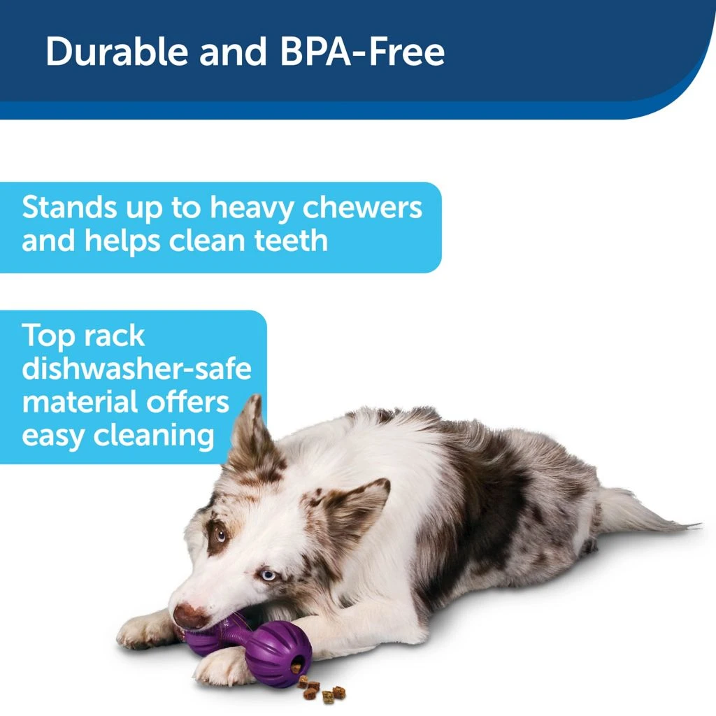 PetSafe Busy Buddy Waggle Dog Chew Toy 8 PetSafe Busy Buddy Waggle Dog Chew Toy - Image 6
