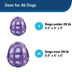 PetSafe Busy Buddy Kibble Nibble Dog Chew Toy -PetSafe Sales Shop 1182383 A5