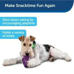 PetSafe Busy Buddy Squirrel Dude Dog Chew Toy, Medium 12 PetSafe Busy Buddy Squirrel Dude Dog Chew Toy, Medium -PetSafe Sales Shop 1182387 A2