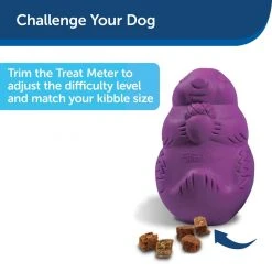 PetSafe Busy Buddy Squirrel Dude Dog Chew Toy, Medium 13 PetSafe Busy Buddy Squirrel Dude Dog Chew Toy, Medium -PetSafe Sales Shop 1182387 A3