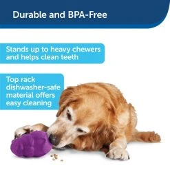 PetSafe Busy Buddy Squirrel Dude Dog Chew Toy, Medium 15 PetSafe Busy Buddy Squirrel Dude Dog Chew Toy, Medium -PetSafe Sales Shop 1182387 A5