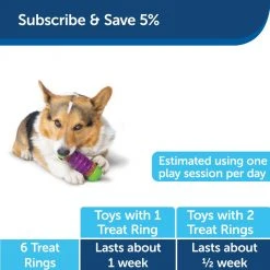 PetSafe Busy Buddy Ultra-Thick Natural Rawhide Dog Treats, Small -PetSafe Sales Shop 1182409 A5