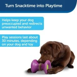 PetSafe Busy Buddy Ultra-Thick Natural Rawhide Dog Chews, Large -PetSafe Sales Shop 1182411 A2