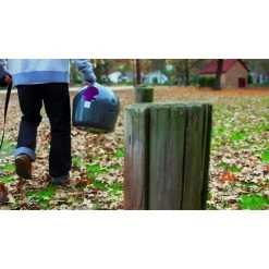 PetSafe Automatic Ball Launcher Dog Toy - Tennis Ball Throwing Machine for Dogs -PetSafe Sales Shop 1204235 VIDEO 1 480x270 1200k