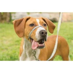 PetSafe Gentle Leader Chic Designer Headcollar and Leash, Bonez -PetSafe Sales Shop 1258749 A2