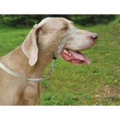PetSafe Gentle Leader Chic Designer Headcollar and Leash, Bonez -PetSafe Sales Shop 1258749 A4
