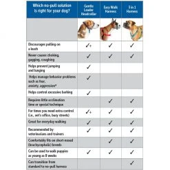 PetSafe Gentle Leader Chic Designer Headcollar and Leash, Bonez -PetSafe Sales Shop 1258749 A6