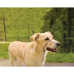 PetSafe Gentle Leader Chic Designer Headcollar & Leash, Donuts -PetSafe Sales Shop 1258750 A2