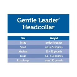 PetSafe Gentle Leader Chic Designer Headcollar & Leash, Donuts -PetSafe Sales Shop 1258750 A5