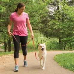 PetSafe Gentle Leader Chic Designer Headcollar and Leash, Poppies -PetSafe Sales Shop 1258751 A2