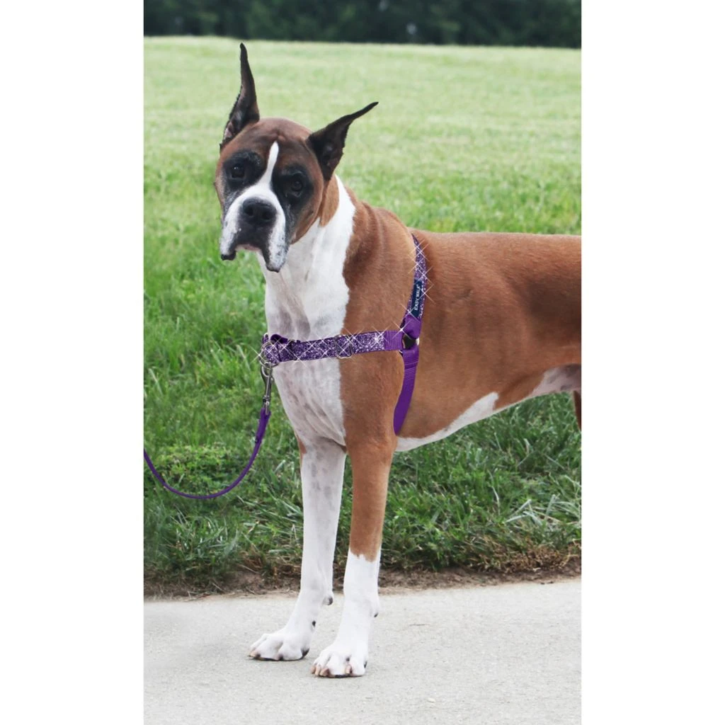 PetSafe Easy Walk No-Pull Dog Harness, Bling Design 6 PetSafe Easy Walk No-Pull Dog Harness, Bling Design - Image 4