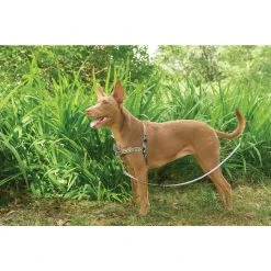 PetSafe Easy Walk Chic Dog Harness, Bonez -PetSafe Sales Shop 1258773 A3