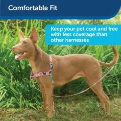 PetSafe Easy Walk Chic Dog Harness, Donuts -PetSafe Sales Shop 1258774 A2