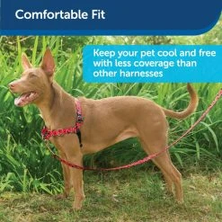 PetSafe Easy Walk Chic Dog Harness Poppies -PetSafe Sales Shop 1258775 A2