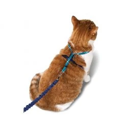 PetSafe Come with Me Kitty Adjustable Glitter Cat Harness and Bungee Leash, 3/8 in. -PetSafe Sales Shop 1258777 A3