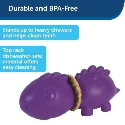 PetSafe Busy Buddy Dinosaur Dog Chew Toy, Medium -PetSafe Sales Shop 1258794 A2
