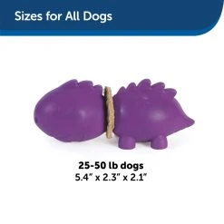 PetSafe Busy Buddy Dinosaur Dog Chew Toy, Medium -PetSafe Sales Shop 1258794 A4