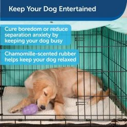 PetSafe Busy Buddy Chamomile-Scented Calming Dog Toys, Small, 2 pk. -PetSafe Sales Shop 1258798 A2