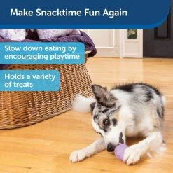 PetSafe Busy Buddy Chamomile-Scented Calming Dog Toys, Small, 2 pk. -PetSafe Sales Shop 1258798 A4