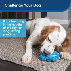 PetSafe Busy Buddy Hedgehog Dog Chew Toy -PetSafe Sales Shop 1258803 A3