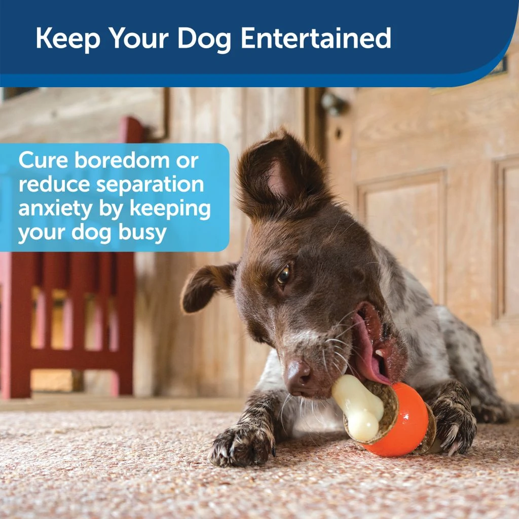 PetSafe Sportsmen Bouncy Bone Dog Chew Toy, Medium 4 PetSafe Sportsmen Bouncy Bone Dog Chew Toy, Medium - Image 2