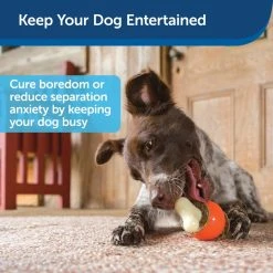 PetSafe Sales Shop -PetSafe Sales Shop 1258808 A1