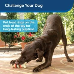 PetSafe Sportsmen Bristle Bone Dog Chew Toy, Medium -PetSafe Sales Shop 1258809 A3