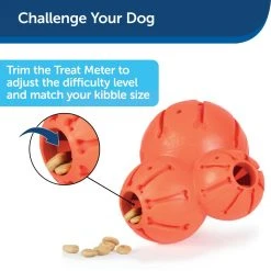 PetSafe Sportsmen Barnacle Dog Chew Toy, Small -PetSafe Sales Shop 1258817 A2