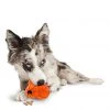 PetSafe Sportsmen Treat Holding Barnacle Dog Chew Toy, Medium -PetSafe Sales Shop 1258818