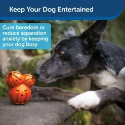 PetSafe Sportsmen Treat Holding Barnacle Dog Chew Toy, Medium -PetSafe Sales Shop 1258818 A3