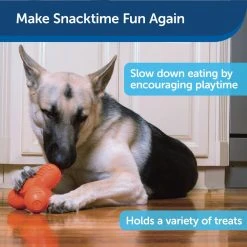 PetSafe Sportsmen Troog Squeak 'N Treat Dog Chew Toy, Medium -PetSafe Sales Shop 1258822 A3