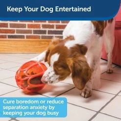 PetSafe Sportsmen Kibble Nibble Dog Chew Toy, Medium/Large -PetSafe Sales Shop 1258824 A3