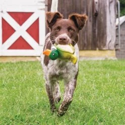 PetSafe Sportsmen Squeeze Meeze Duck Dog Toy -PetSafe Sales Shop 1258827 A3