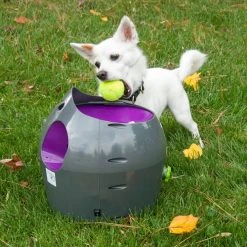 PetSafe Tennis Ball Dog Toys, 3-Pack -PetSafe Sales Shop 1258841 A3