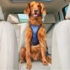 PetSafe Happy Ride Safety Harness, Large -PetSafe Sales Shop 1339608