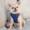 PetSafe Happy Ride Safety Harness -PetSafe Sales Shop 1339609