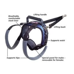 PetSafe Carelift Dog Lifting Aid Rear Only Harness -PetSafe Sales Shop 1339617 A3