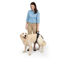 PetSafe Carelift Dog Lifting Aid Rear Only Harness -PetSafe Sales Shop 1339617 A5