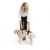 PetSafe CareLift Support Dog Harness, Small -PetSafe Sales Shop 1339618