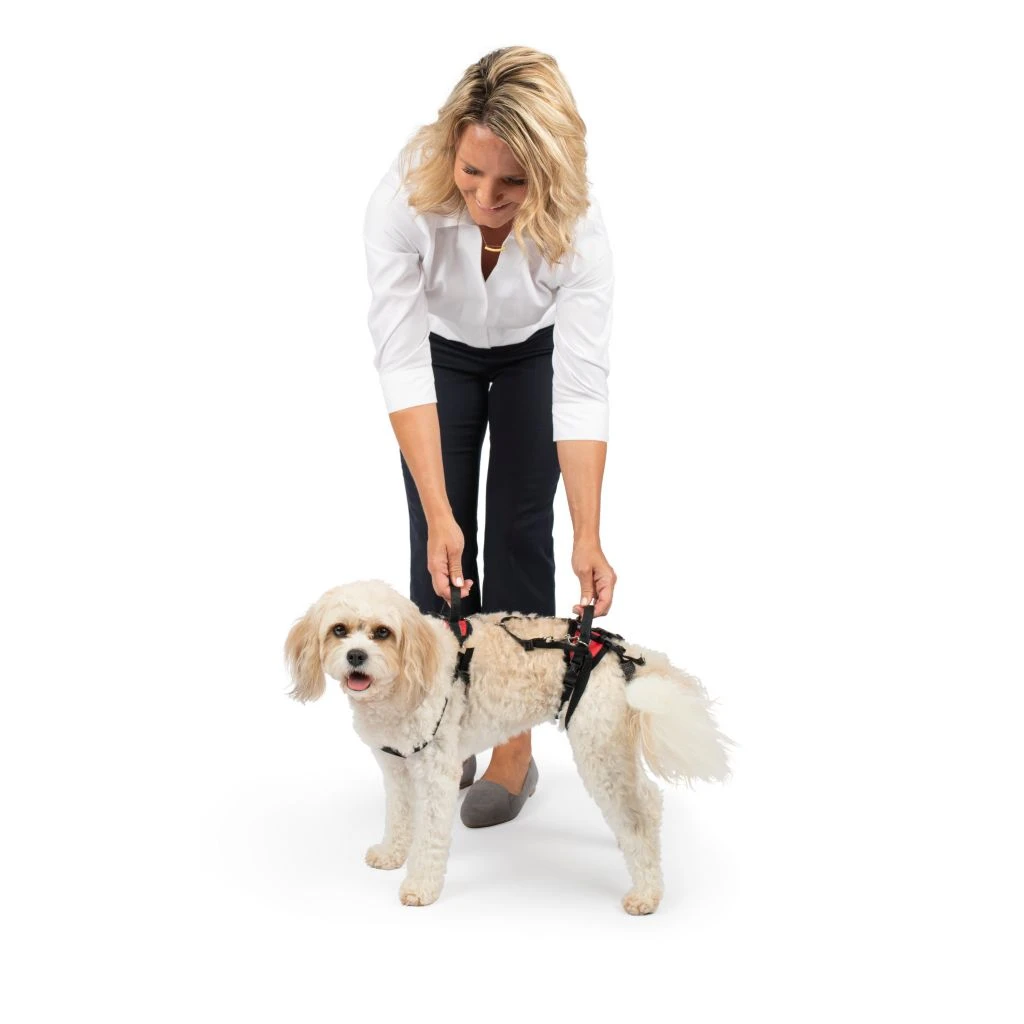 PetSafe CareLift Support Dog Harness, Small 3 PetSafe CareLift Support Dog Harness, Small