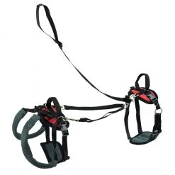 PetSafe CareLift Support Dog Harness, Small 10 PetSafe CareLift Support Dog Harness, Small -PetSafe Sales Shop 1339618 A2