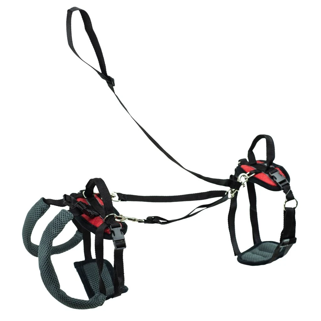PetSafe CareLift Support Dog Harness, Small 5 PetSafe CareLift Support Dog Harness, Small - Image 3