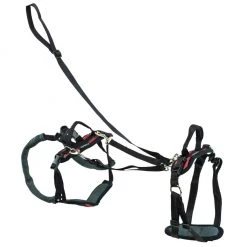 PetSafe CareLift Support Dog Harness, Small 13 PetSafe CareLift Support Dog Harness, Small -PetSafe Sales Shop 1339618 A5