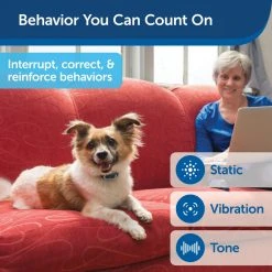 PetSafe Lite Add-A-Dog Remote Dog Training Collar, 300 yd. Range, Waterproof, 15 Levels Stimulation, for 8 lb. or Smaller Dogs -PetSafe Sales Shop 1339656 A4