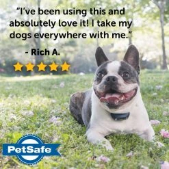 PetSafe Lite Add-A-Dog Remote Dog Training Collar, 300 yd. Range, Waterproof, 15 Levels Stimulation, for 8 lb. or Smaller Dogs -PetSafe Sales Shop 1339656 A6