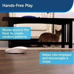 PetSafe Laser Tail Cat Toy - Fun and Safe Laser Light Game for Cats -PetSafe Sales Shop 1339666 A2