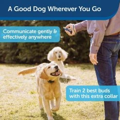 PetSafe Remote Spray Trainer Add-a-Dog Training Dog Collar -PetSafe Sales Shop 1460309 A2