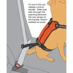 PetSafe Walk Along Reflective Outdoor Dog Harness, Medium, Orange -PetSafe Sales Shop 1460315 A2