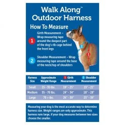 PetSafe Walk Along Reflective Outdoor Dog Harness, Medium, Orange -PetSafe Sales Shop 1460315 A4